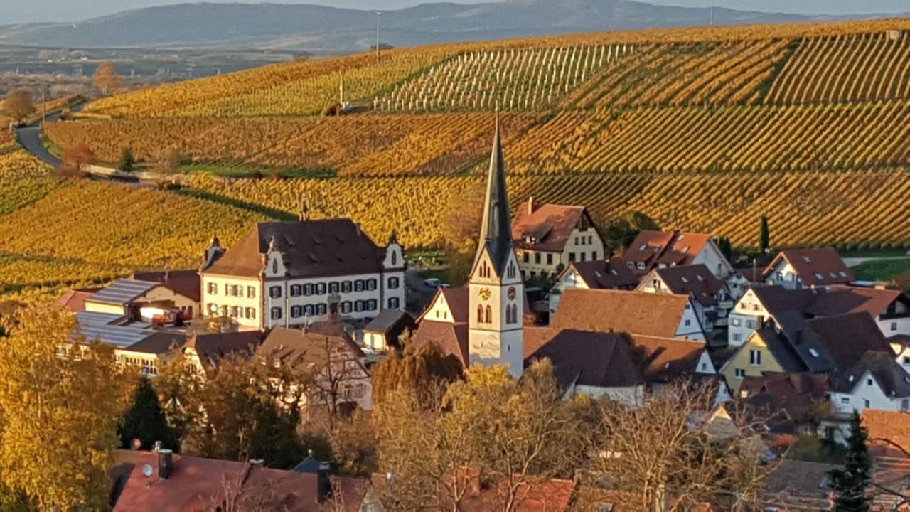 Weinbergglück Apartment Ebringen