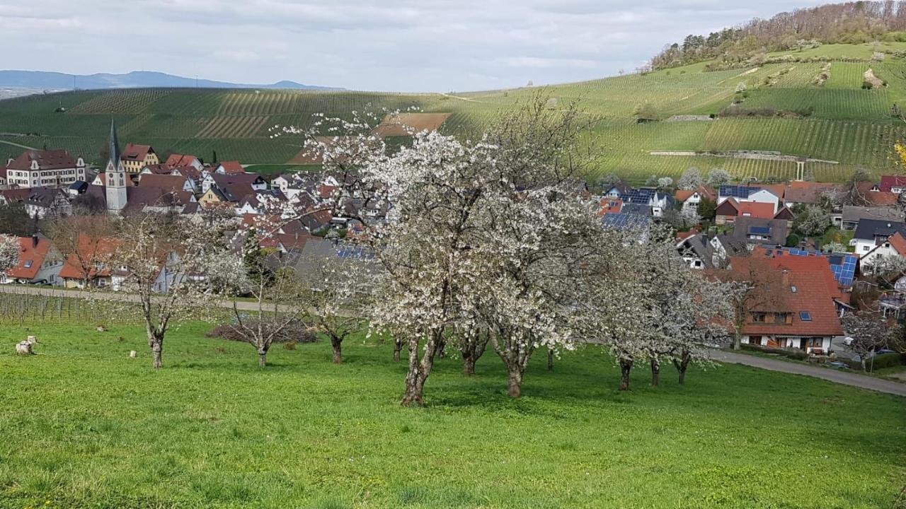 Weinbergglück Apartment *